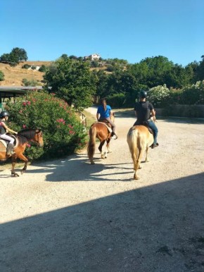 Hotels in Rignano Flaminio